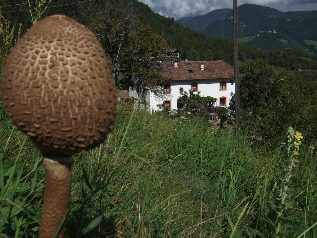 Gruberhof Villa San Genesio Atesino Dış mekan fotoğraf